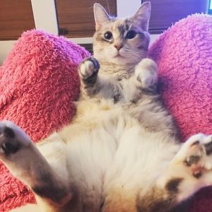 Meet your Posher, Kasey